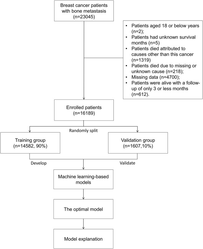 FIGURE 1