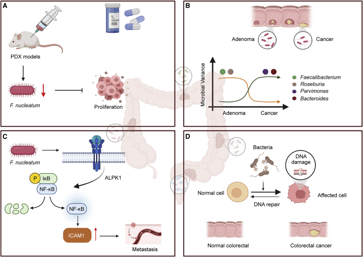 Current understanding of the intratumoral microbiome in various tumors ...