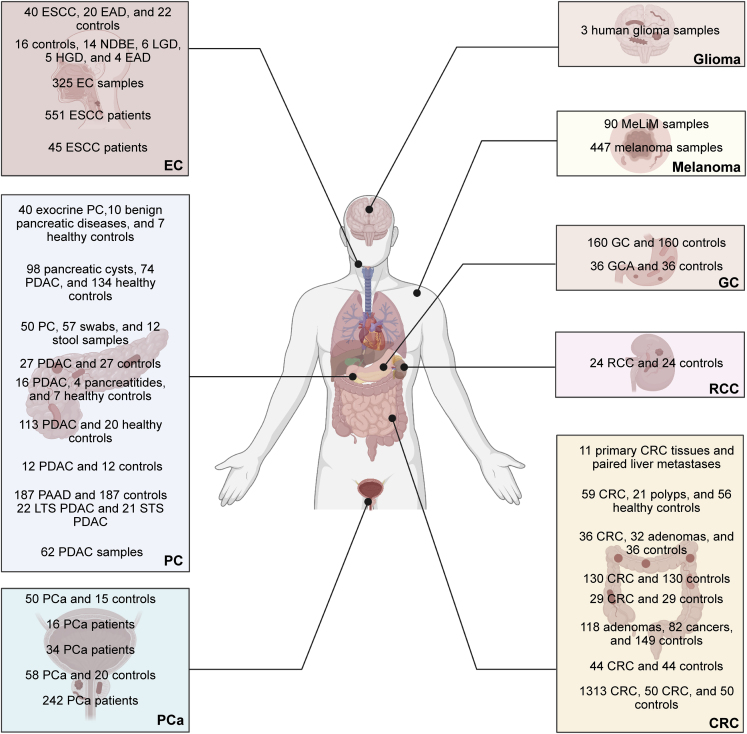 Figure 1