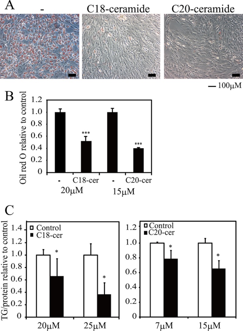 FIGURE 10.