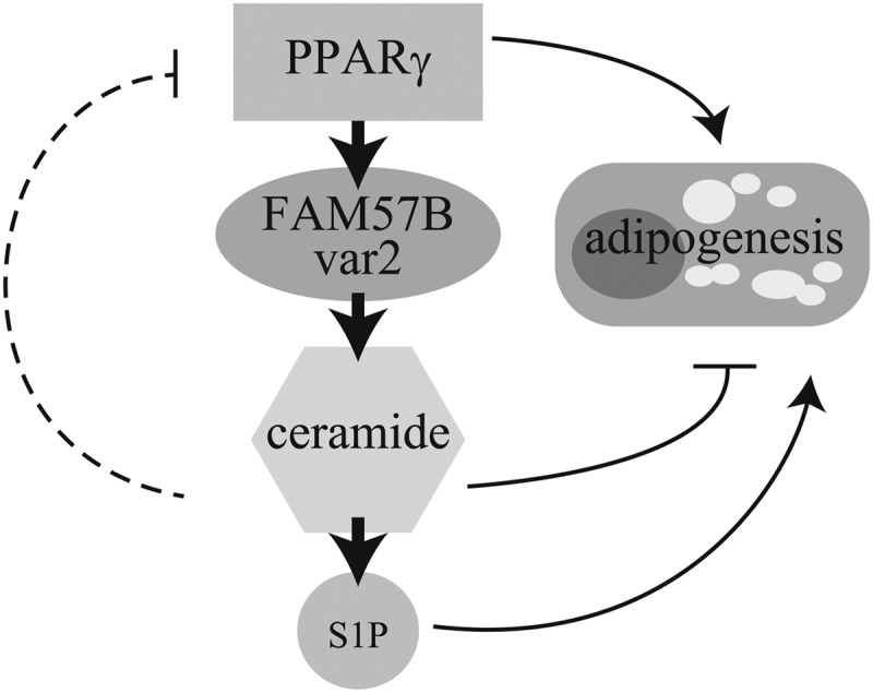 FIGURE 11.