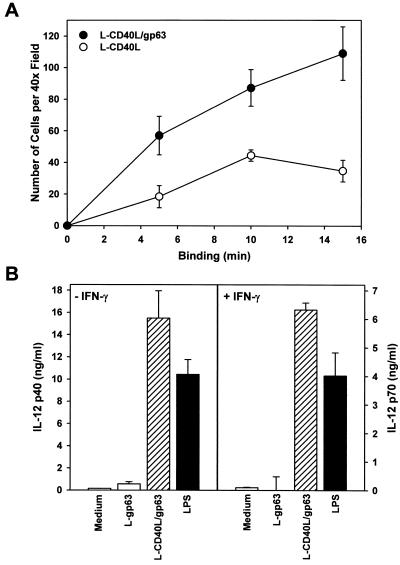 FIG. 5