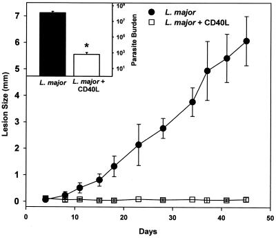 FIG. 7