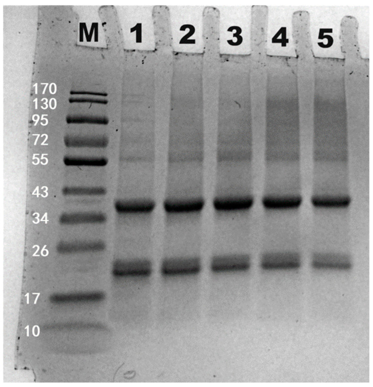 Figure 16