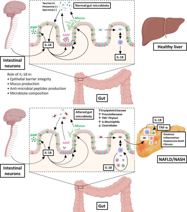 Figure 2