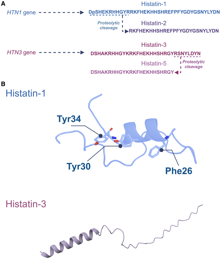 Figure 2