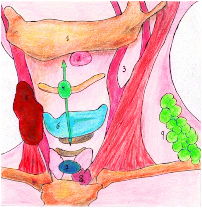 Fig. 7