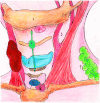 Fig. 7