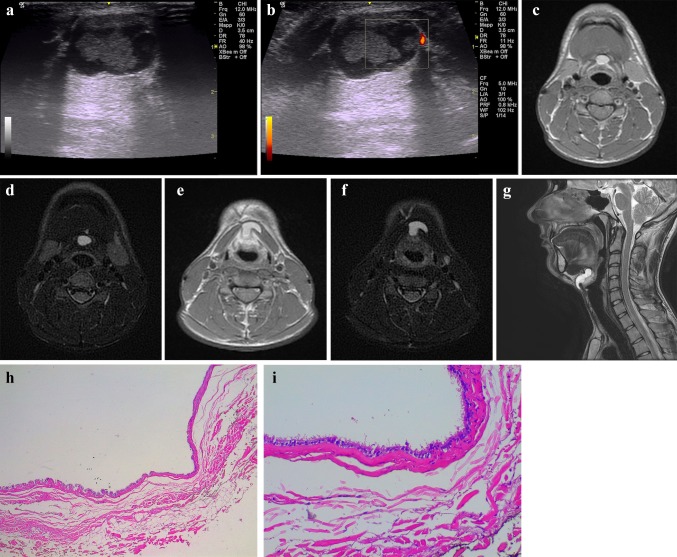 Fig. 4