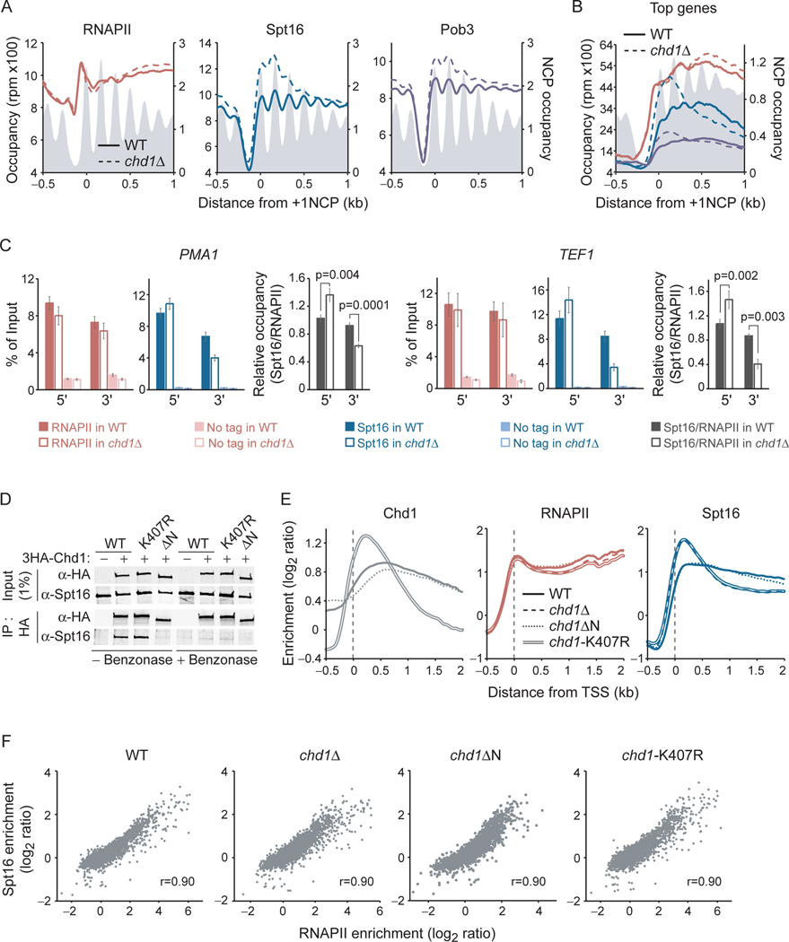 Figure 2: