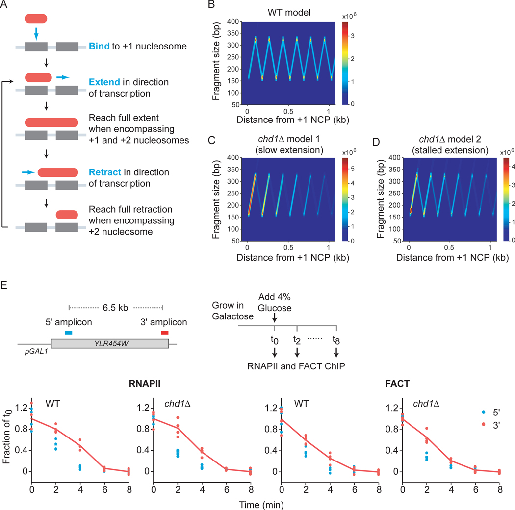 Figure 6: