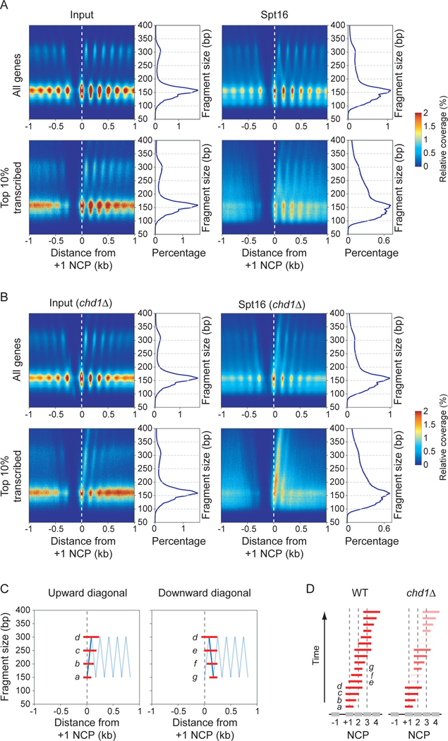 Figure 5: