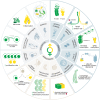 Sex bias in the hallmarks of ageing. Graphical illustration of the hallmarks of ageing and how they are affected in a sex-specific manner.