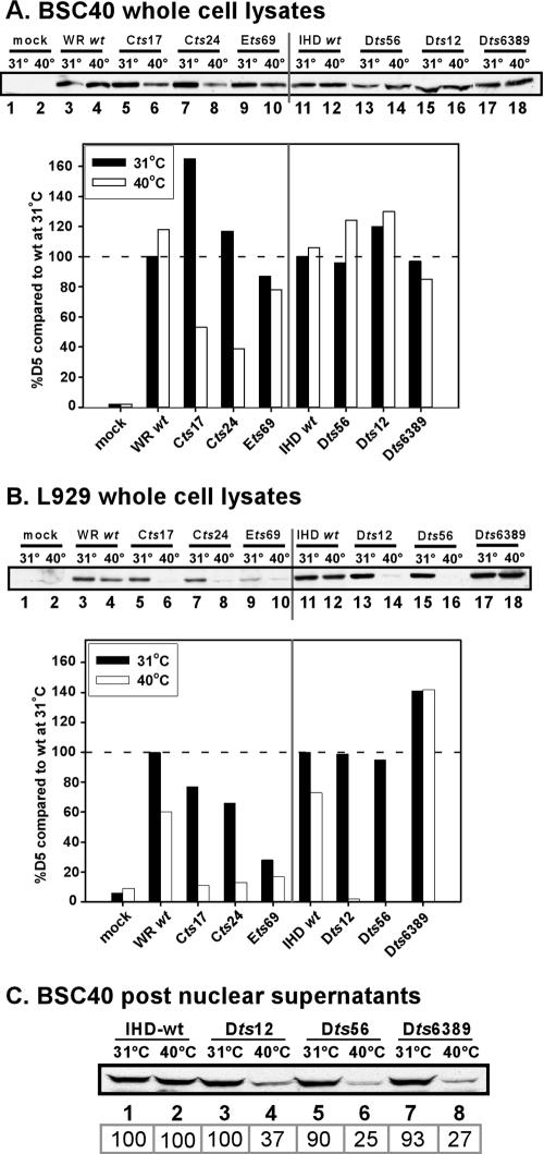 FIG. 4.