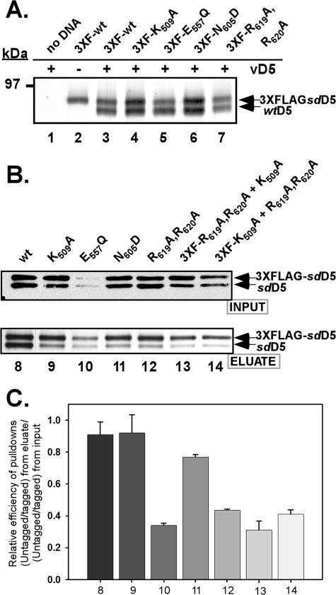 FIG. 8.