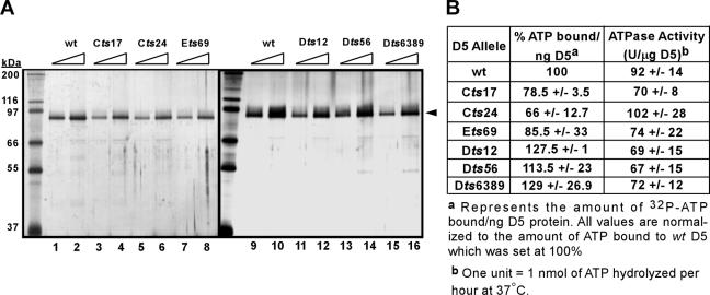 FIG. 5.