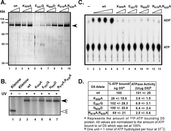 FIG. 7.