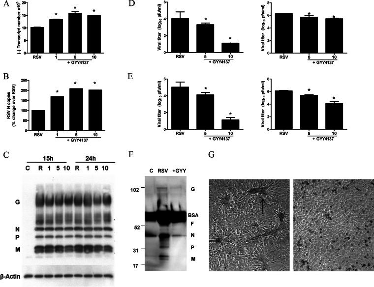 FIG 6