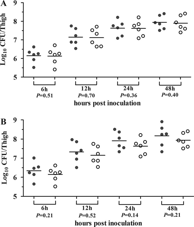 FIG 4