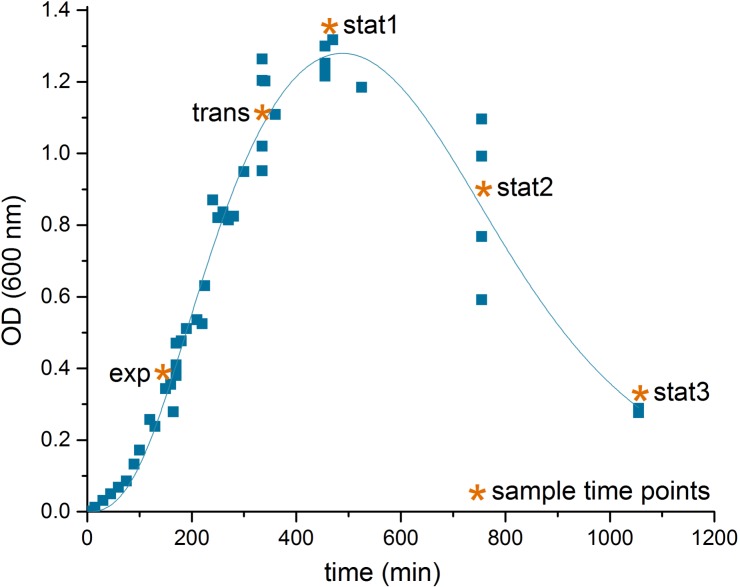 FIGURE 1