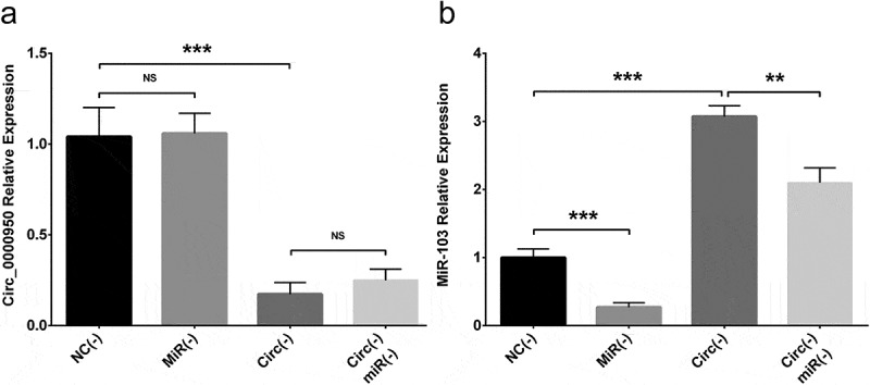 Figure 11.