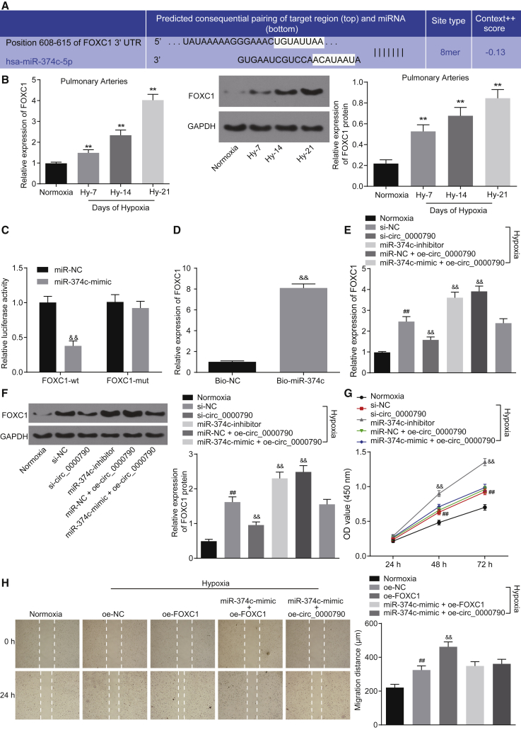 Figure 6