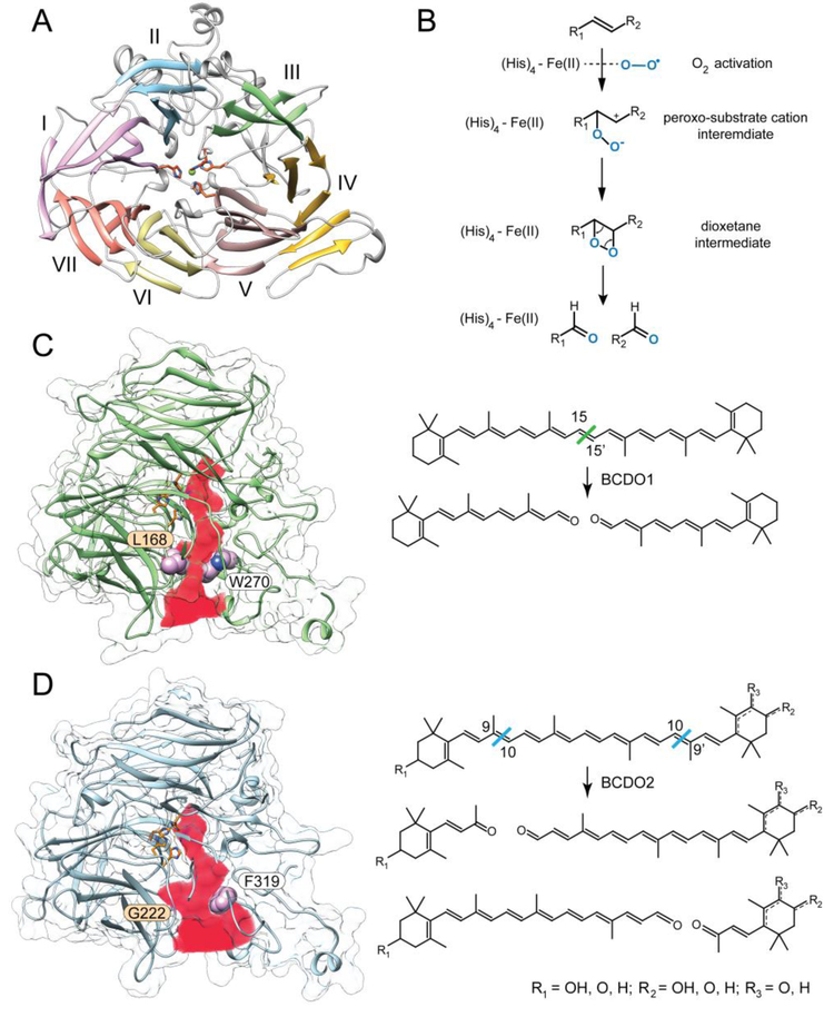 Figure 3–