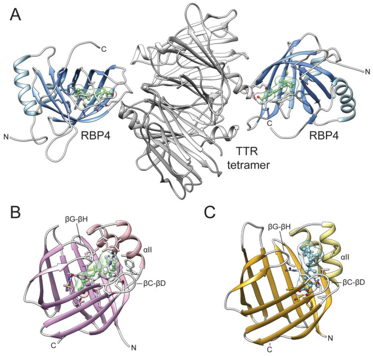 Figure 6–