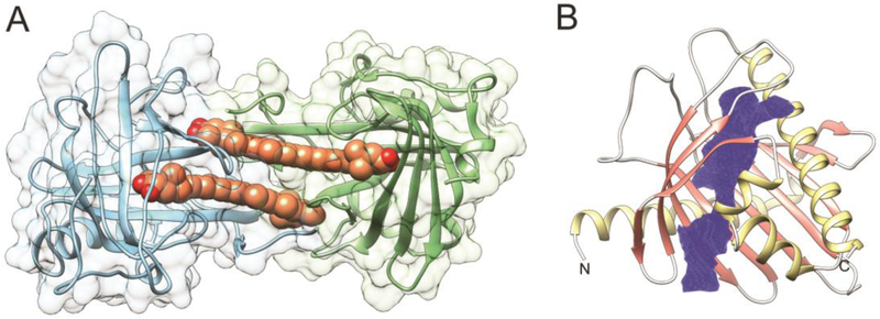 Figure 8–