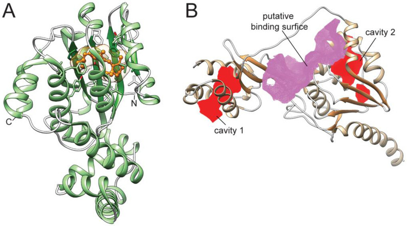 Figure 7–