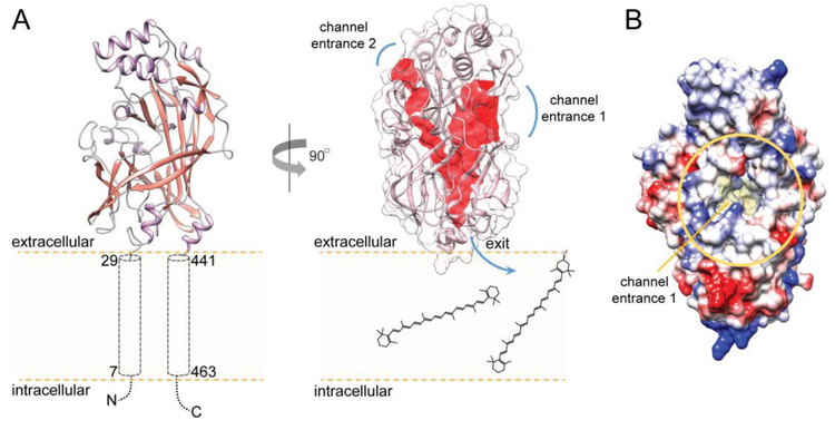 Figure 2–