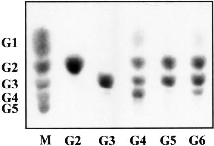 FIG. 6.