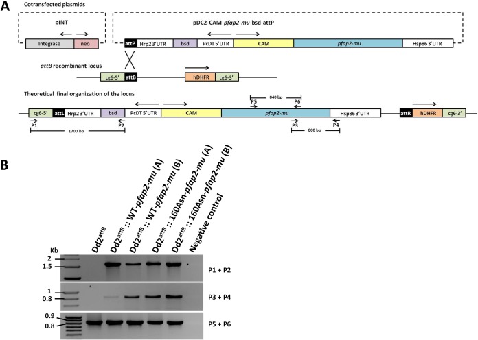 FIG 1