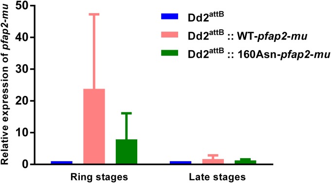 FIG 2