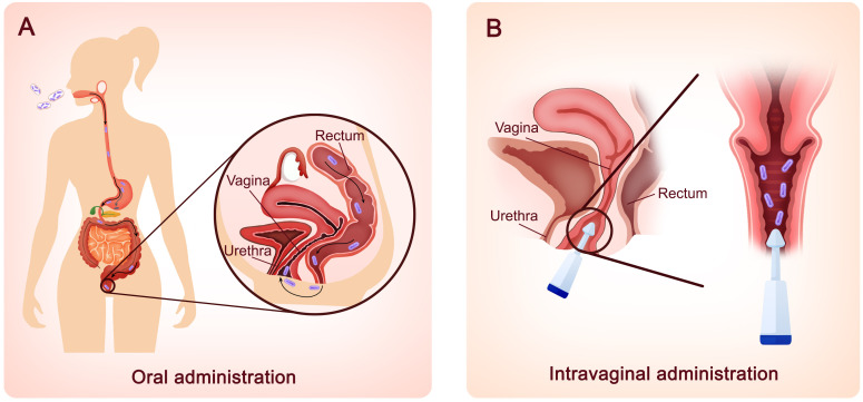 Figure 2