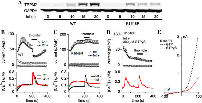 Fig. 3