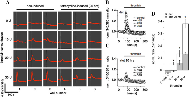 Fig. 2