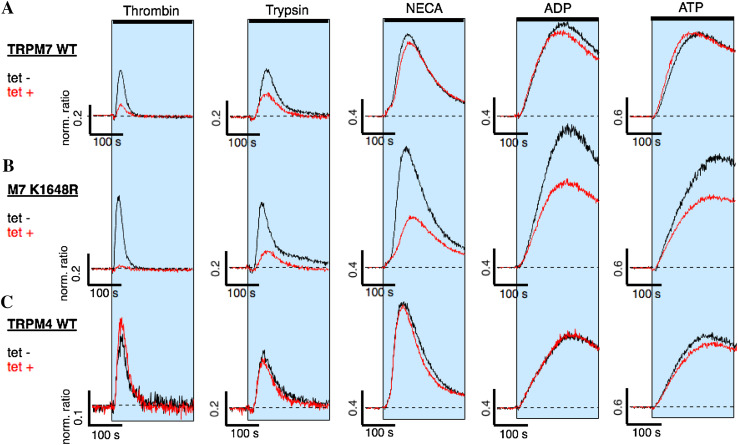 Fig. 4