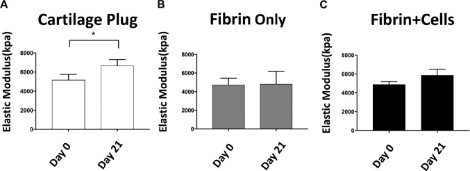 Figure 7.