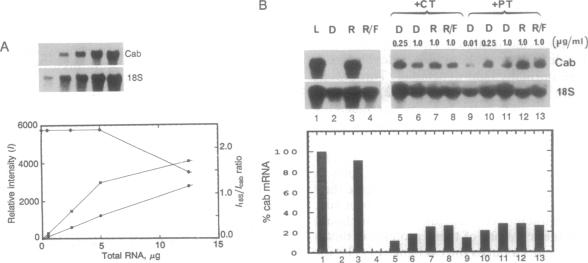 graphic file with name pnas01102-0337-a.jpg