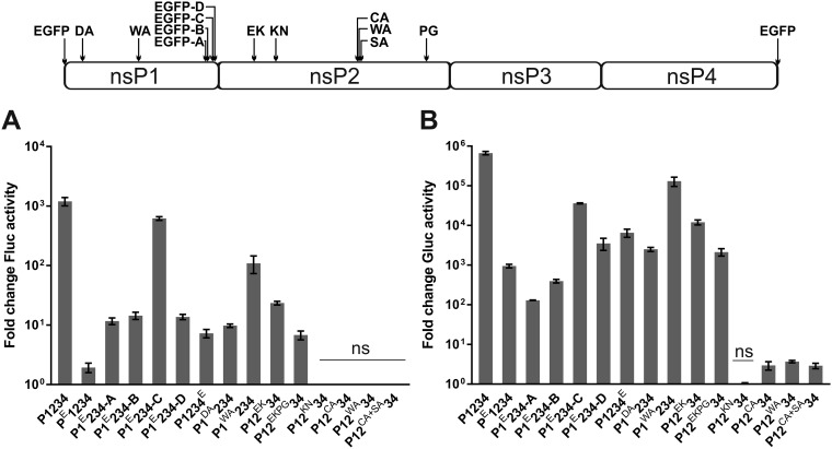 FIG 6