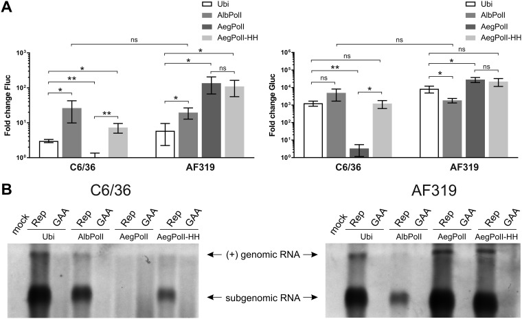 FIG 4