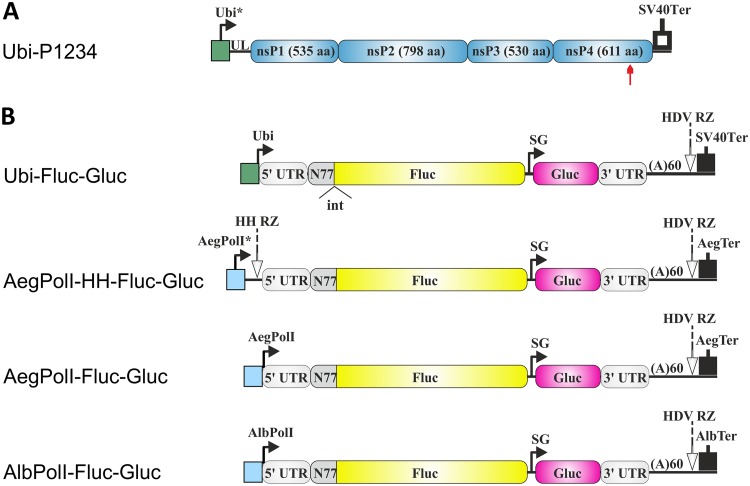 FIG 2