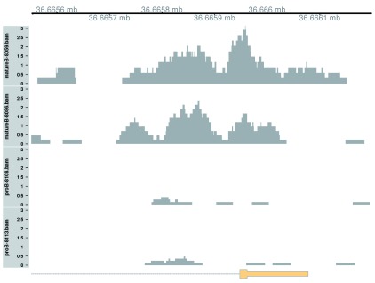 Figure 10. 