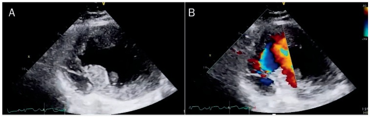 Figure 6.