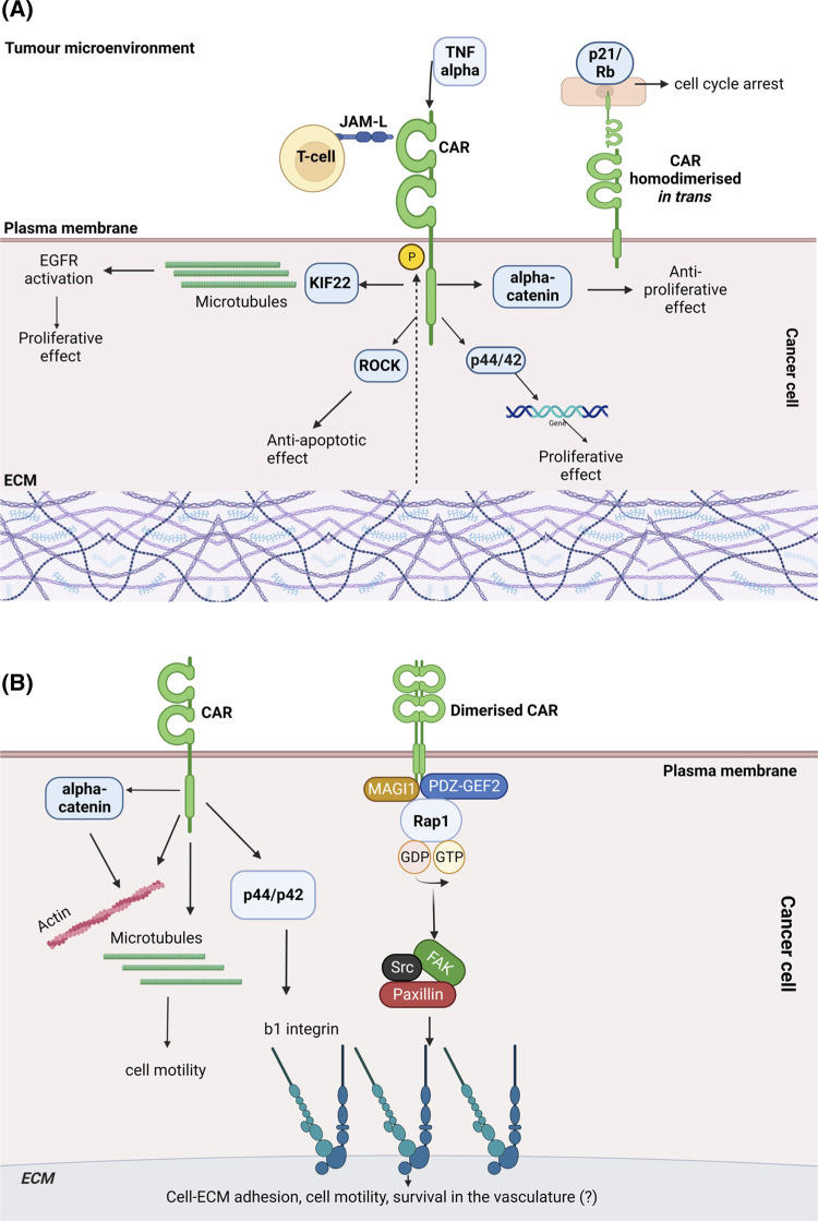 Figure 2.