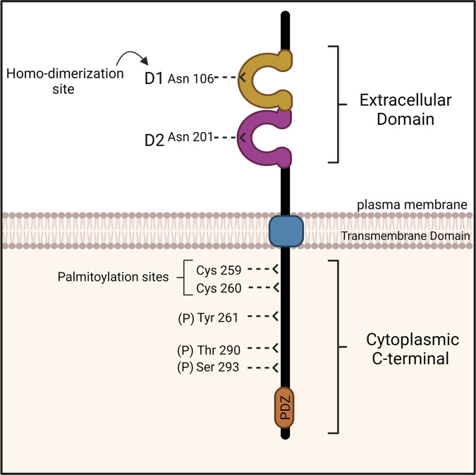 Figure 1.