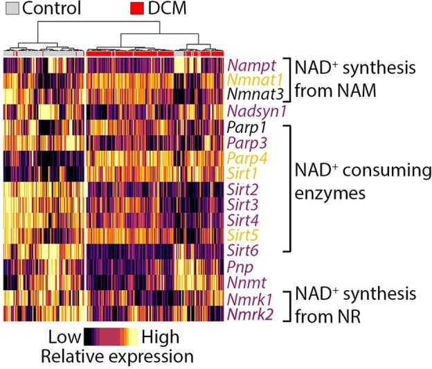 Extended Data Fig. 10