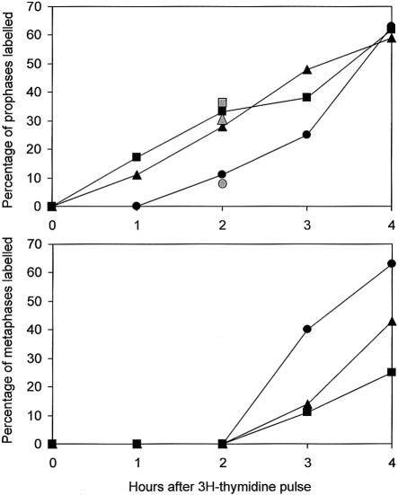 Figure  3