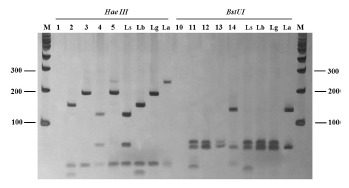 Fig.1